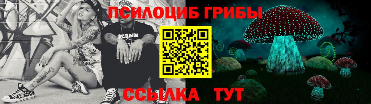 Псилоцибиновые грибы Cubensis Ейск